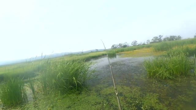 Ханка Август_видео отчет_07_08_2019