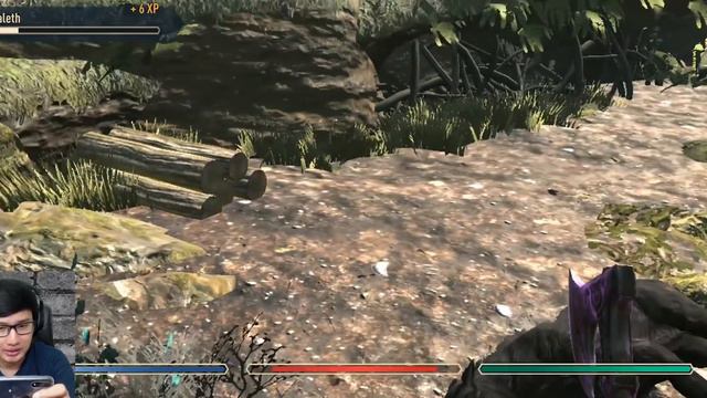 Ternyata Support! - The Elder Scrolls: Blades (Android)