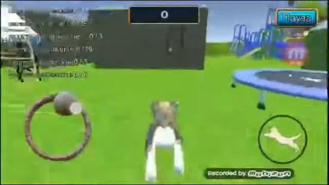 2 бага в игре Cat Simulator: Kitty Craft.