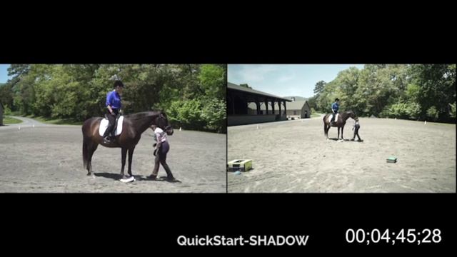 15 min Quick Start for new SURE FOOT DVD смотреть онлайн
