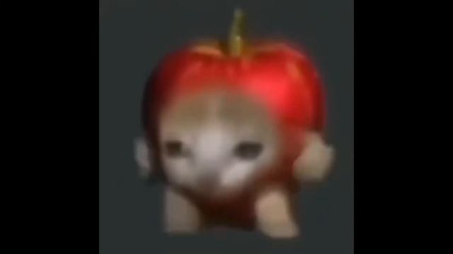Gato-Manzana Musica Completa - (Apple Cat Full Song)