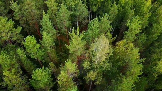 Рыбалка 2019 смотреть онлайн