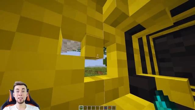 САМЫЙ МАЛЕНЬКИЙ ДОМ В 1 БЛОК ВНУТРИ ПЧЕЛЫ В МАЙНКРАФТЕ ПРО УМЕНЬШИЛСЯ И ПОСТРОИЛ СЕКРЕТНУЮ БАЗУ смотреть онлайн