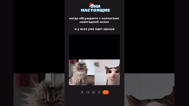 Дед Мороз на дом - Москва ❄️ смотреть онлайн