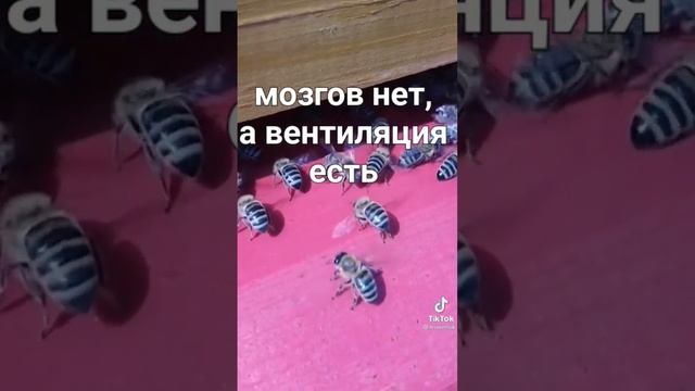 А бывает наоборот / вентиляция смотреть онлайн