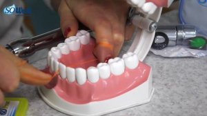 Как правильно чистить зубы с ирригатором Sowash
