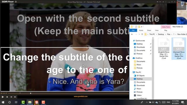 Dual Subtitle on GOM Player смотреть онлайн