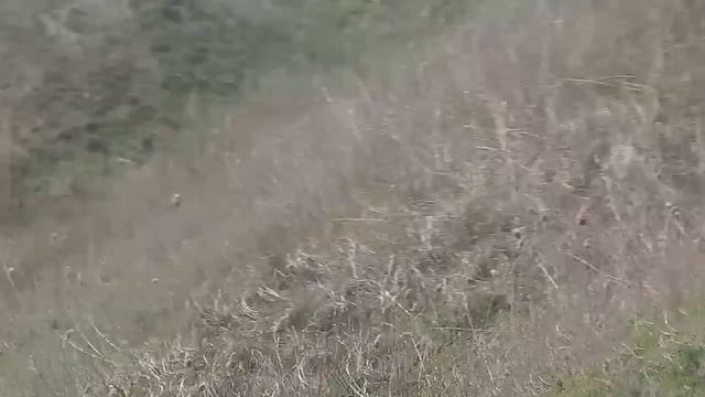 Джип Триал Кросс Тирасполь - Jeep Trial Cross Tiraspol смотреть онлайн
