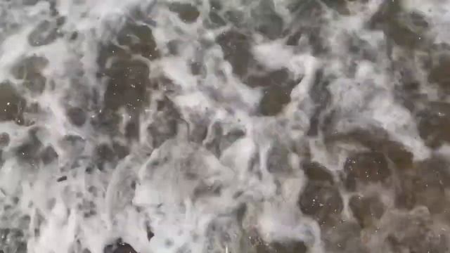 Тихий океан| Чудо животные / Fantastic Beast , Pacific Ocean смотреть онлайн