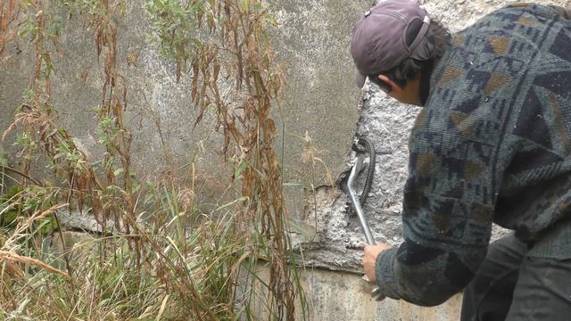 Гадюка в бетонной плите. Как Гитлер пряталась... Гитлер с хвостом. смотреть онлайн