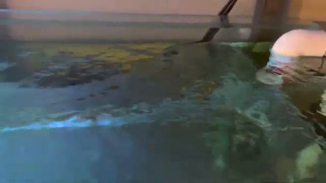 Течение в моем Аквариуме смотреть онлайн