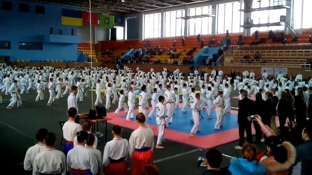 Открытие детского чемпионата по Тхэквондо в г. Харьков. Красивое зрелище. смотреть онлайн