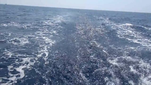 Аренда яхты Кипр Парусная Яхта Чартеры смотреть онлайн