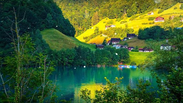 Самая красивая мелодия на свете! Музыка приносит большое счастье  Красивые цветы 2023 #3