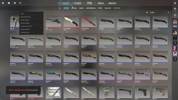 Best Free CS2 Inventory Changer + ESP