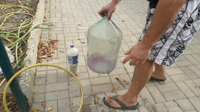 Как быстро почистить бутыль из под вина смотреть онлайн