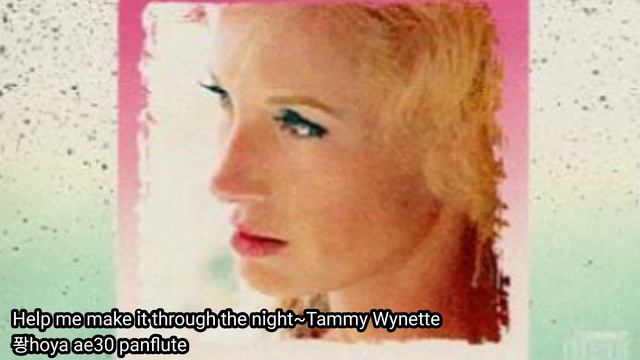 Help Me Make It Through The Night(Tammy Wynette~퐝hoya Ae30 Panflute)