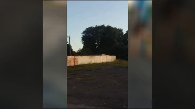 Это вам не корова))