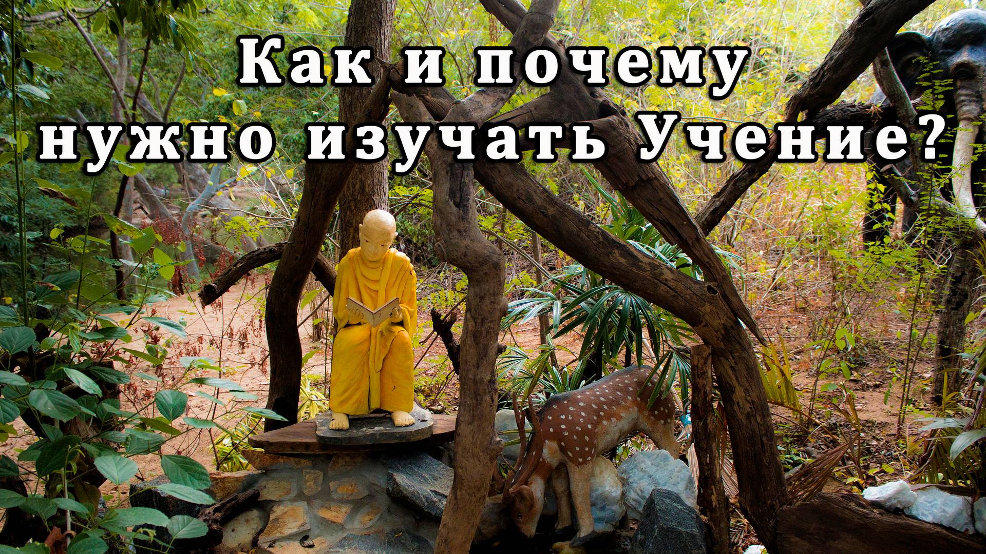 Как и почему нужно изучать Учение? смотреть онлайн