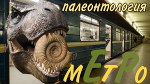 Палеонтология метро. Окаменелости подземки. Самый большой аммонит московского метро.