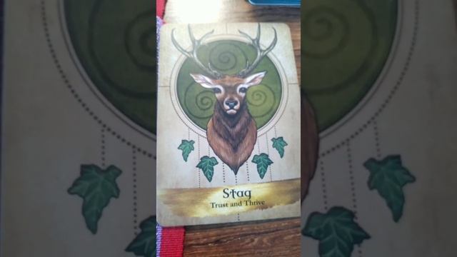 ? What a five-minute oracle card reading with me is like ? example intuitive oracle spread ? смотреть онлайн