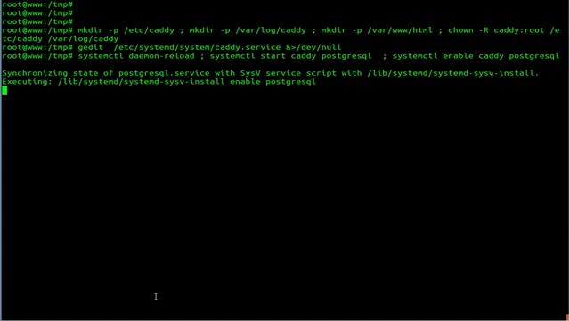 How To install Caddy Web Server With Postgresql PHP-FPM on Ubuntu 18.04 смотреть онлайн