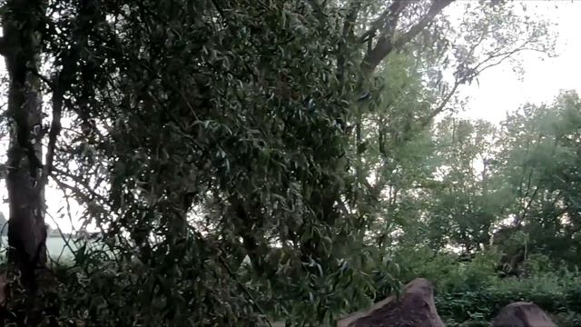 Learning To Jump TIME TO TRY DIRT JUMPS!!! смотреть онлайн
