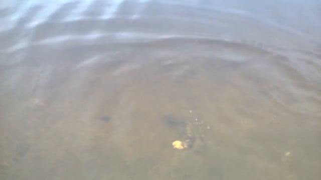 WP 20170317 006 смотреть онлайн