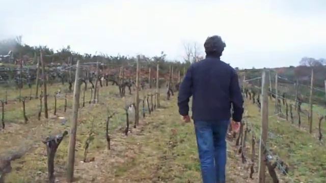 Rafael Palacios en la parcela Sorte do Soro (DO Valdeorras) - www,viajesyvinos.com смотреть онлайн