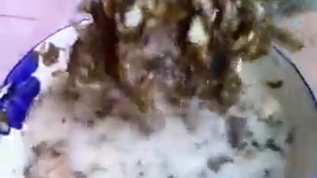 Суп из травы