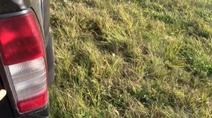 Обзор NISSAN NP300 PICK UP. Ниссан пикап NP 300.