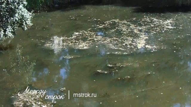 Черноисточинский пруд смотреть онлайн