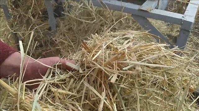 Измельчитель сена (соломы) своими руками!!! Дешево и сердито смотреть онлайн