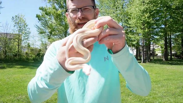REPTILES / SNAKES Outside ?! Burmese Python, IMG Boa Constrictor , Anaconda , SNOW BOA смотреть онлайн