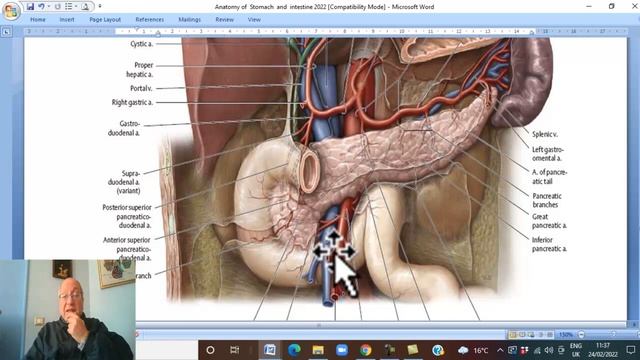 Anatomy GIT Module in English ( Duodenum , part 2 ) , by Wahdan смотреть онлайн