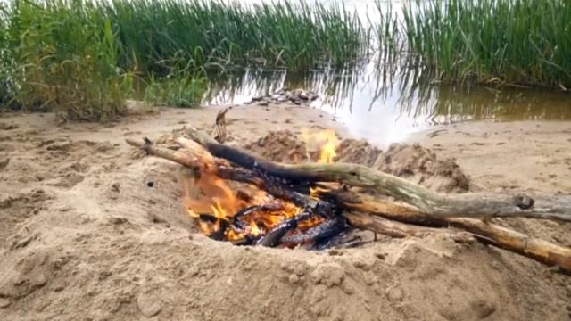 ЛЮБИМЫЕ ПЕСНИ СССР! Шел казак на побывку домой Е Лесовая А Шапочкина смотреть онлайн