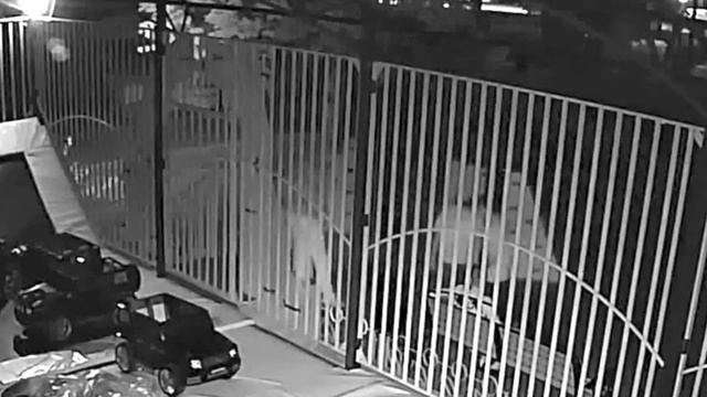 СОФОРА 25 ИЮЛЯ 2020 смотреть онлайн