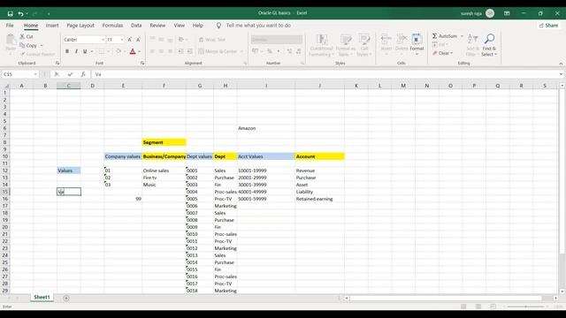 Oracle Functional Financials - System administrator & GL basics смотреть онлайн