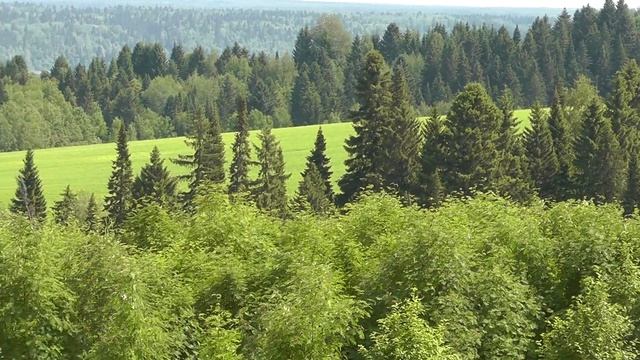 Поля бескрайние смотреть онлайн