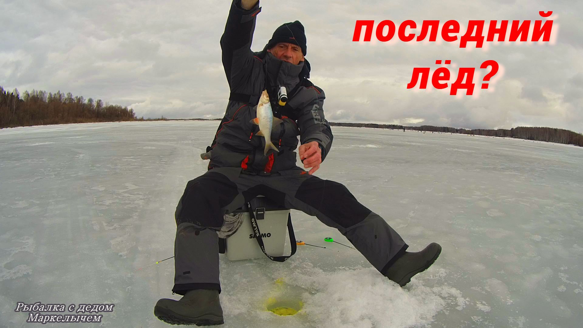 "ЧЁРНАЯ" ПЛОТВА и ХИТРАЯ ВОРОНА. Рыбалка в Красновидово, часть 1. смотреть онлайн