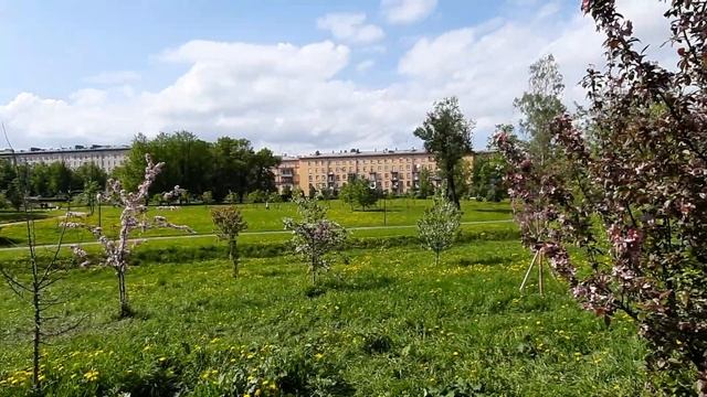 Куракина дача. 25.05.2021 смотреть онлайн