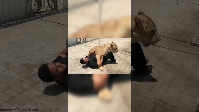Этот Лев Не Видел Своего Хозяина 7-лет, Посмотрите Что Произошло Дальше…? #shorts #лев смотреть онлайн
