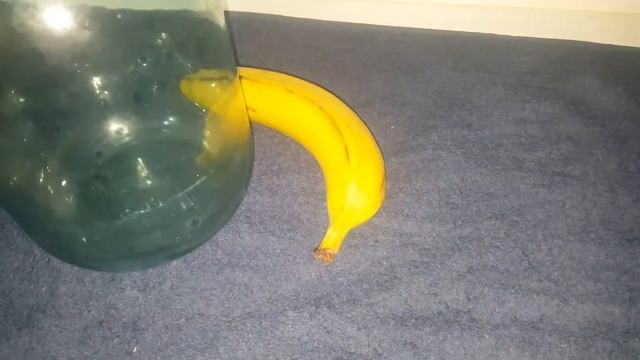 Это удобрения любят помидоры! Удобрение из кожуры банана смотреть онлайн