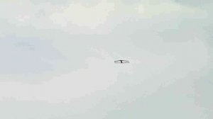 БПЛА Сокол. Презентационный показ.