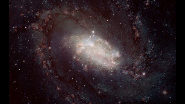 Живи на тысячу процентов смотреть онлайн