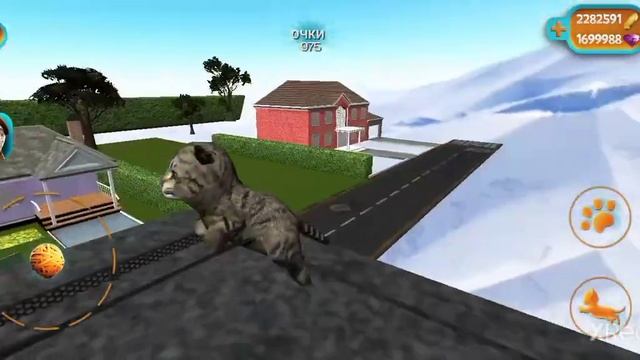 КАК ПОПАСТЬ В СЕКРЕТНУЮ КОМНАТУ В CAT SIMULATOR 2015 смотреть онлайн