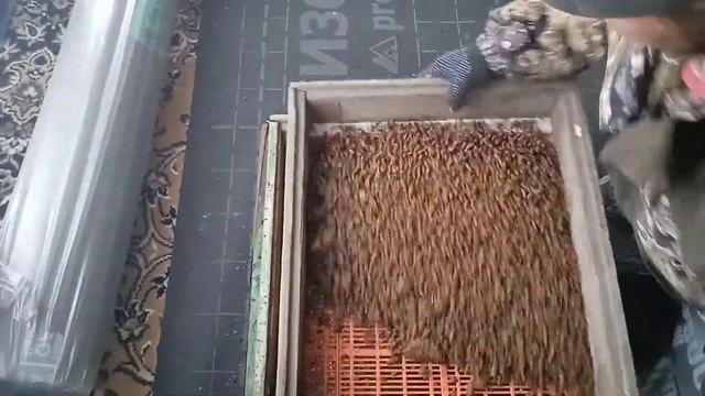 выбиваем пергу в домашних условиях (часть 2) смотреть онлайн