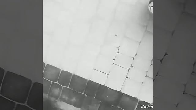 ПОЕЗДКА НА ГИРОСКУТЕРЕ смотреть онлайн