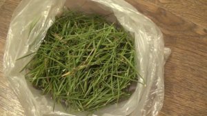 Хвойный напиток