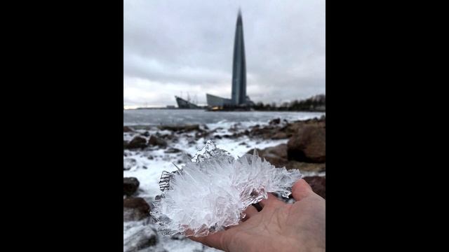 На берегу Финского залива скопились «ЯЙЦА» (фото) Красивый и редкий феномен. смотреть онлайн